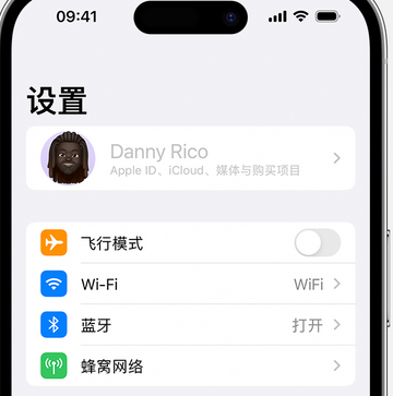 宜宾appleID维修服务iPhone设置中Apple ID显示为灰色无法使用 