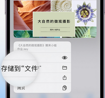 宜宾apple维修中心分享iPhone文件应用中存储和找到下载文件