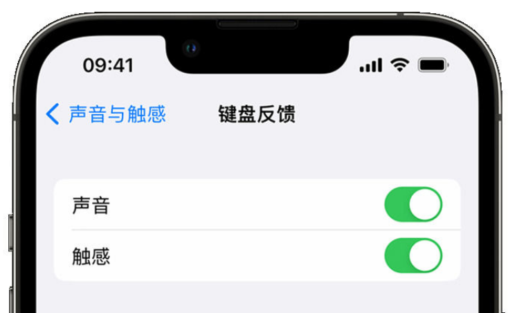 宜宾苹果手机维修分享iPhone 14触感键盘使用方法 