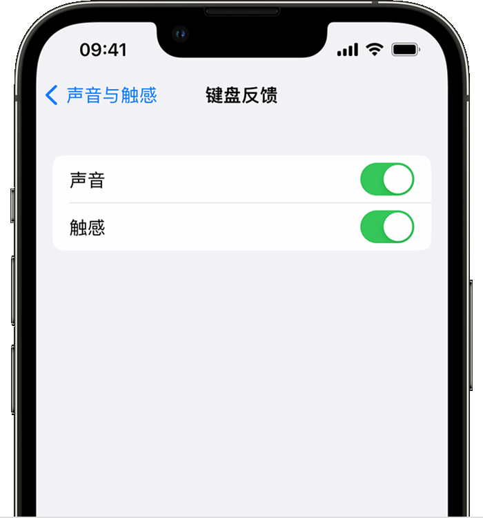 宜宾苹果14维修店分享如何在 iPhone 14 机型中使用触感键盘 