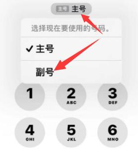 宜宾苹果14维修店分享iPhone 14 Pro Max使用副卡打电话的方法 