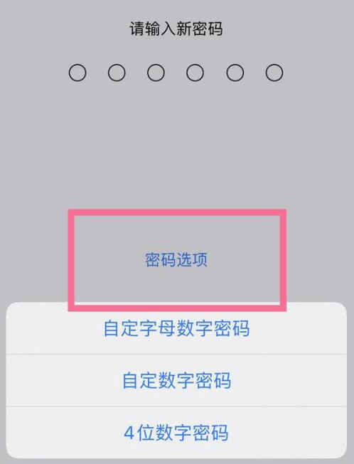 宜宾苹果14维修分享iPhone 14plus设置密码的方法 