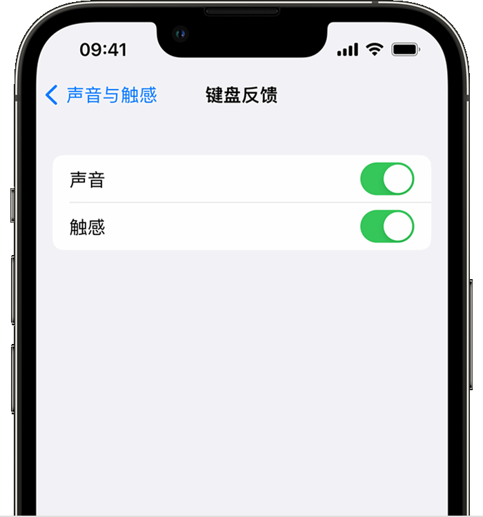 宜宾苹果14维修分享iPhone 14 系列机型如何开启键盘声音或触感反馈 
