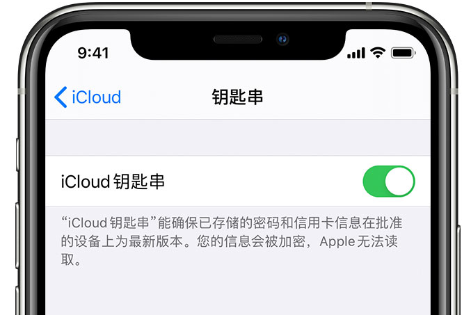 宜宾苹果手机维修分享在 iPhone 上开启 iCloud 钥匙串之后会储存哪些信息 