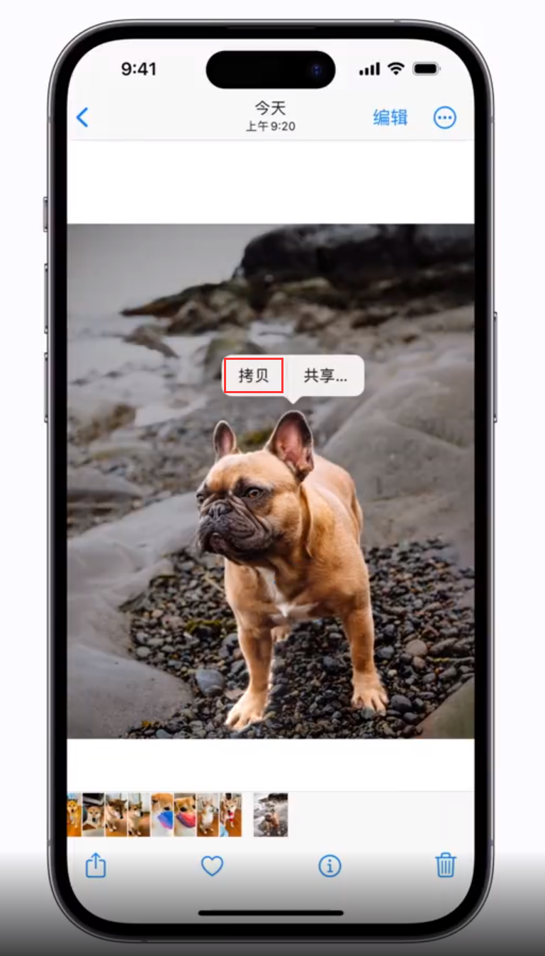 宜宾苹果手机维修分享 iOS 16 自带一键抠图功能 