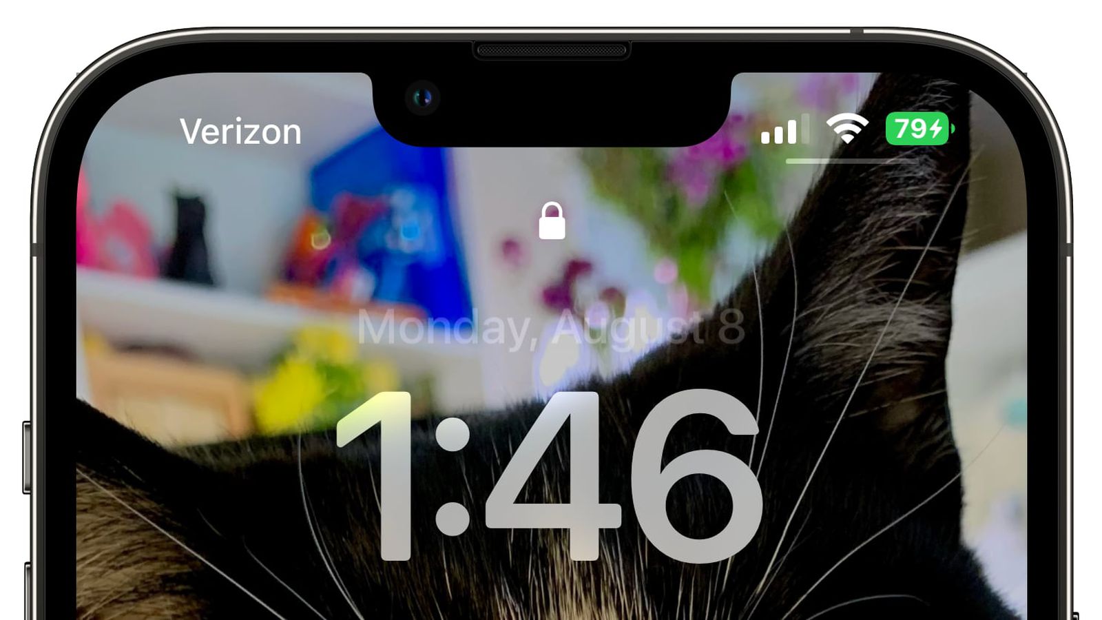 宜宾苹果手机维修分享iOS 16 beta 5 支持状态栏显示电池百分比，如何开启？支持哪些机型 