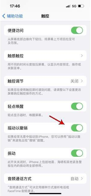 宜宾苹果手机维修分享iPhone手机如何设置摇一摇删除文字 