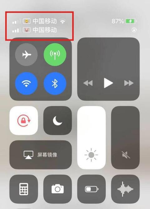 宜宾苹果手机维修分享为 iPhone 12 双卡设置标签 
